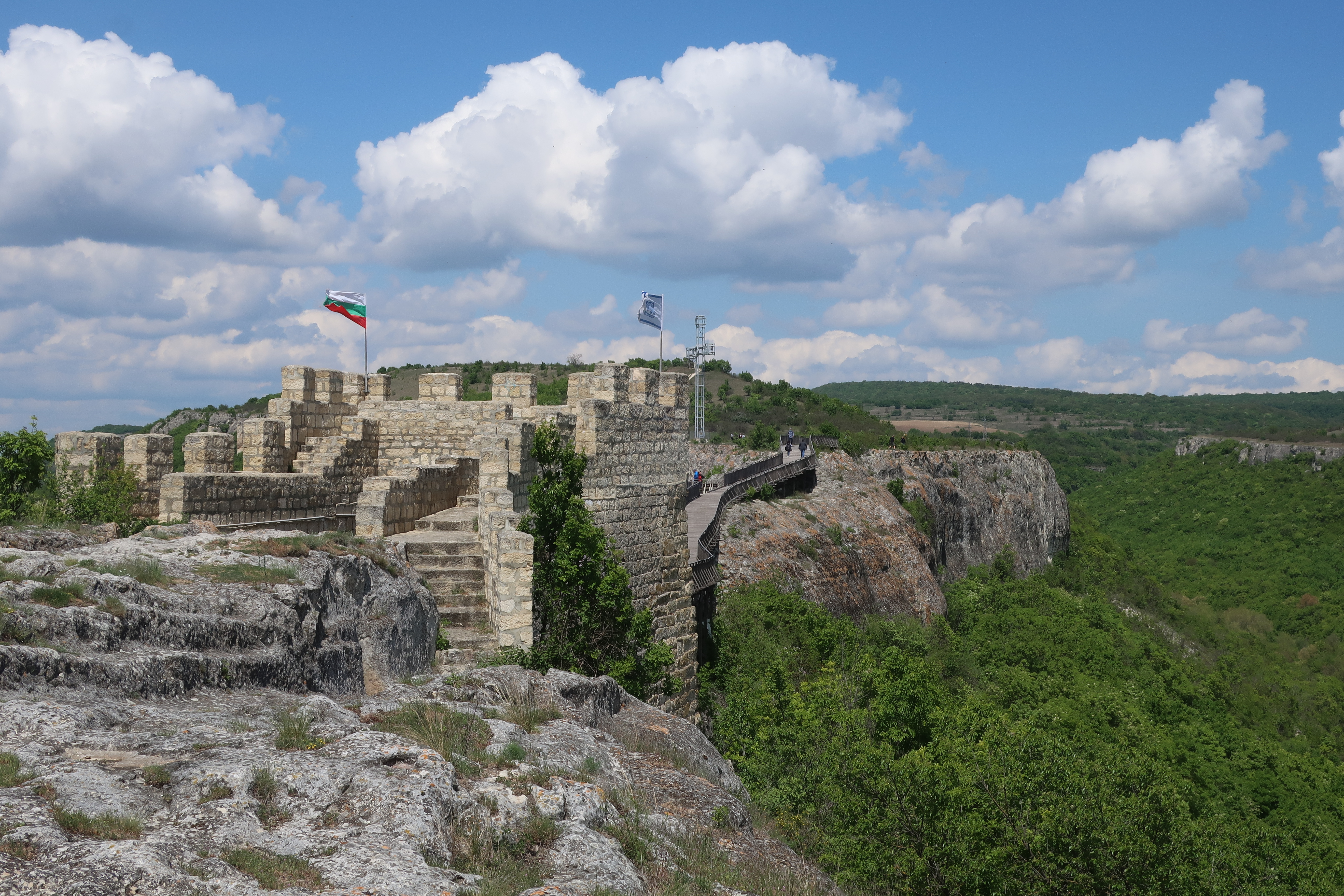 Flowers in the fortress